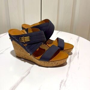 Tommy Hilfiger Blue Platform Wedge Sandals Size 8.5 M - Excellent Condition!